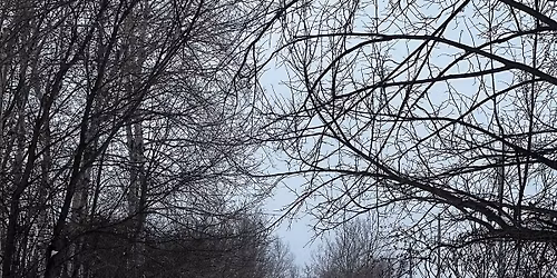 Ottawa-Carleton Trailway parkrun #75