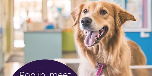 Ainsdale Vets Open Day