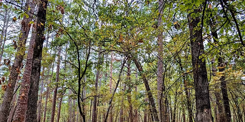 Whispers of Fall - Tyler (Day hike)