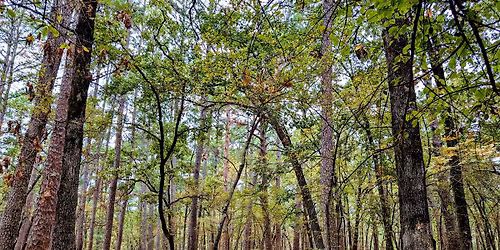 Whispers of Fall - Tyler (Day hike)