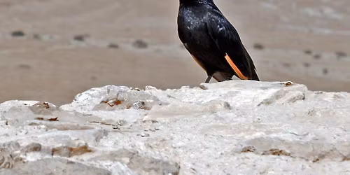 Uveden\u00ed knihy "Izrael: 1997\u20132025 \/V\u00fdbor z koment\u00e1\u0159\u016f\/"