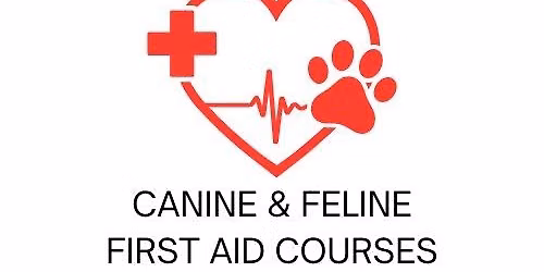 Canine First Aid Course