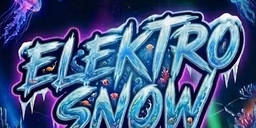 Elektro snow
