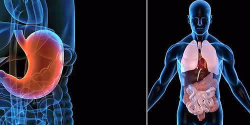 \u0412\u0438\u0441\u0446\u0435\u0440\u0430\u043b\u043d\u0430 \u041e\u0441\u0442\u0435\u043e\u043f\u0430\u0442\u0438\u044f 1 \u0438 2 \u043d\u0438\u0432\u043e