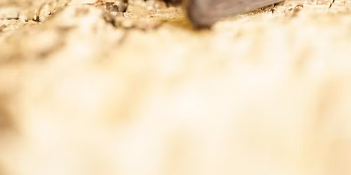 Fledermaus-Exkursion: Auf den Spuren unserer heimlichen K\u00f6niginnen der Nacht