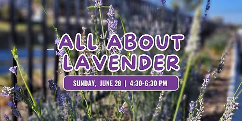 All About Lavender