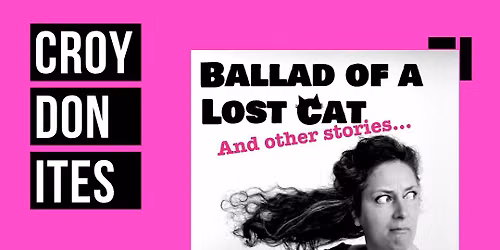 Ballad of a Lost Cat- and other stories