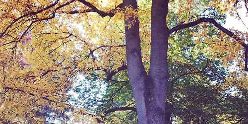 Guided Tour: Women from Lone Fir Cemetery\u2019s  First 100 Years