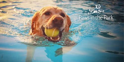 Paws in the Park