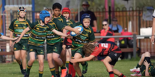 HARVEY NORMAN HEART OF RUGBY CLINIC 
