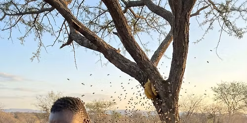 PREACHING WORD OF GOD LIVE