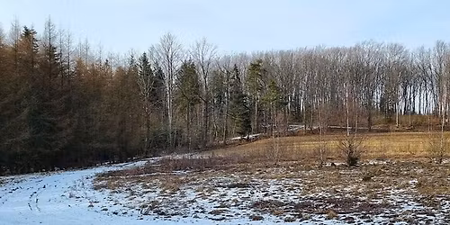 Zdobywamy Odznak\u0119 Ma\u0142ego Szlaku Beskidzkiego zim\u0105 etap 6 - Che\u0142m