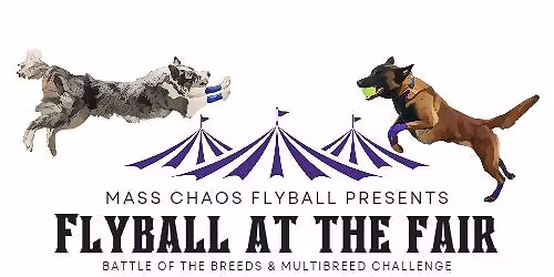 Flyball at the Fair 2026