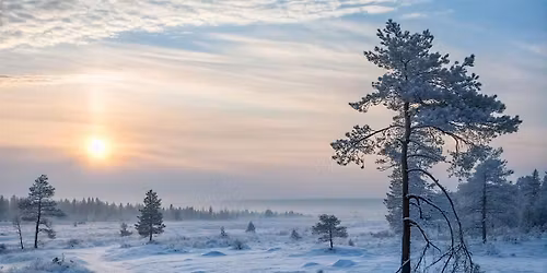 Bmore Queer Poetry Winter Solstice Writing Workshop