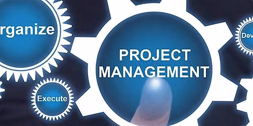 Managing Projects in an Organisation