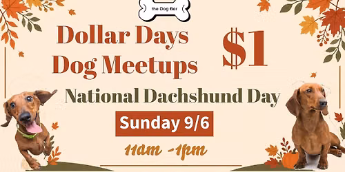 National Dachshund Day $1 Days