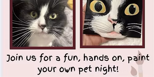 Cat Painting - Sip & Paint