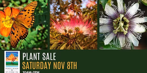 \ud83e\udd51\ud83c\udf3aPlant Sale \ud83c\udf3a\ud83e\udd51