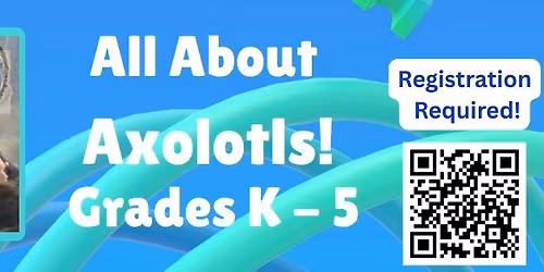 All About Axolotls!