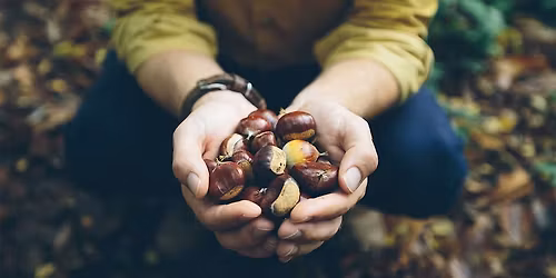 St. A's Weeders and Seeders (Forage\/Garden group)