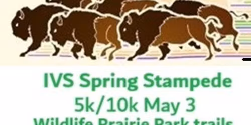 Spring Stampede 5K\/10K
