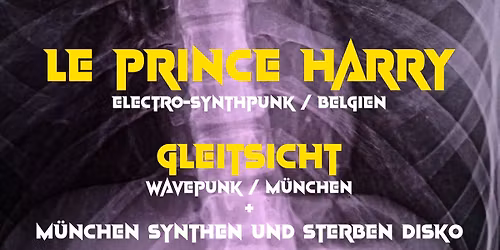 LE PRINCE HARRY + GLEITSICHT + M\u00fcnchen synthen und sterben DISKO