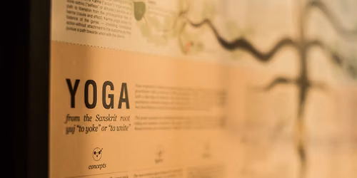 In-Depth Studies & Teacher Training