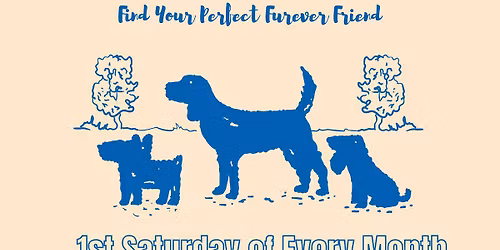 Petco Adoption Event