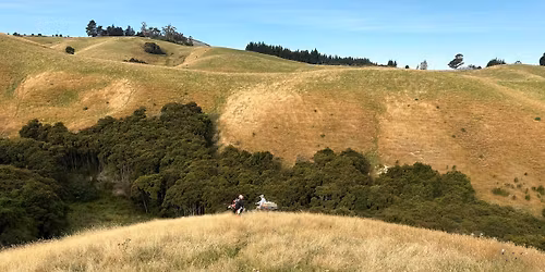 The Brighton Trail Ride 