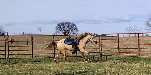Anglin Brothers  Ranch Trail Ride