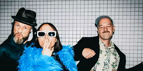 Grossstadtgefl\u00fcster in Berne