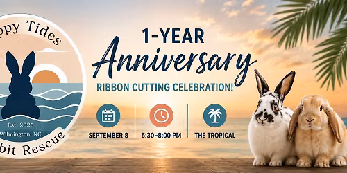 Hoppy Tides 1-Year Anniversary Celebration\ud83d\udc30