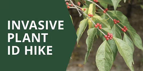 Invasive Plant ID Hike