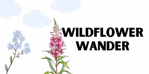 Junior Naturalist: Wildflower Wander