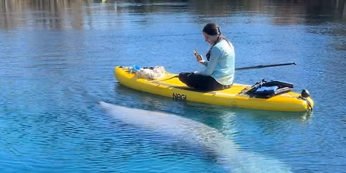 Silver Spring Manatee Paddle