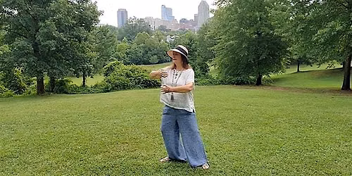Tai Chi in the Park