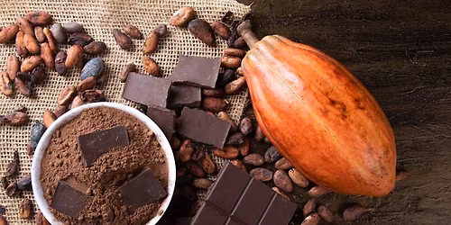 Chocolate Cooking Experience-The Short