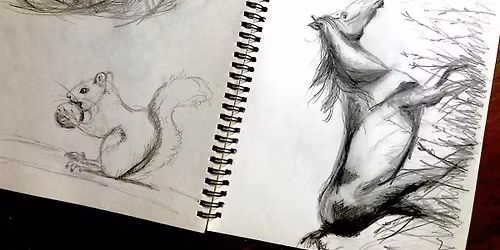 Learn how to draw animals