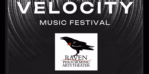 the Sonic Velocity Music Festival 