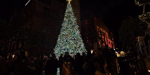 Christmas Tree Lighting Ceremony