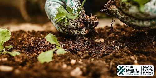 Wildlife friendly planting and maintenance - Buzzing Skipton