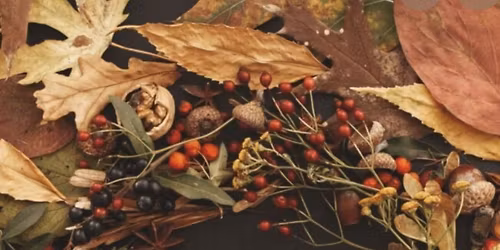 OHBC MOMS November Gathering!