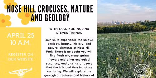 Nose Hill Crocuses, Geology, and Nature