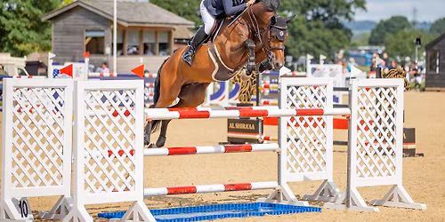The  Al Shira'aa British Young Horse Championships | Official Page 2026