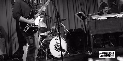 Music at Harry's Place - Dave Potter Band ~ Sponsored by: Thrivent