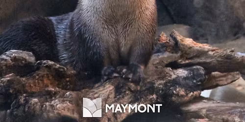 World Wildlife Day at The Robins Nature Center