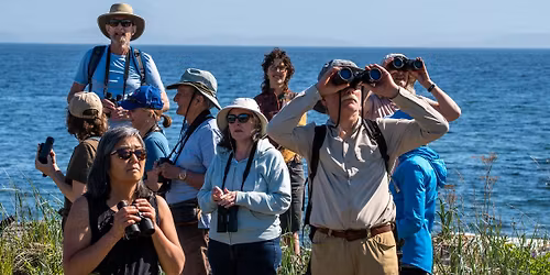 Bird Shoreline Sea Watch \u2014 Ocean Week Campbell River