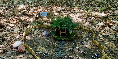 Fairy Home Workshop