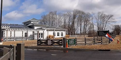 Stewardship Sunday: Hallock Beach Habitat Establishment