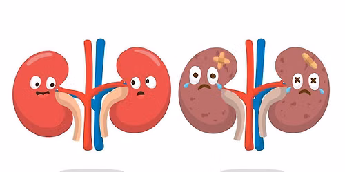 Ci-Ca Renal Masterclass